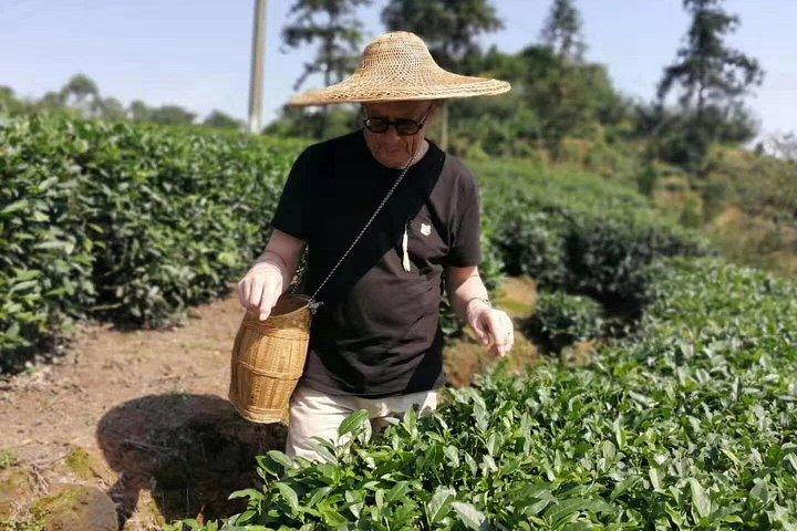 成都発巨大仏＆隠れ家茶村日帰り旅行