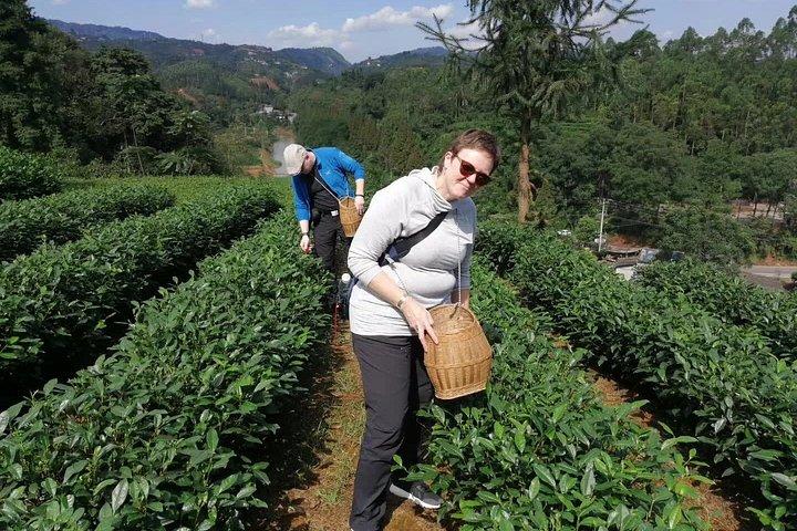 成都発巨大仏＆隠れ家茶村日帰り旅行