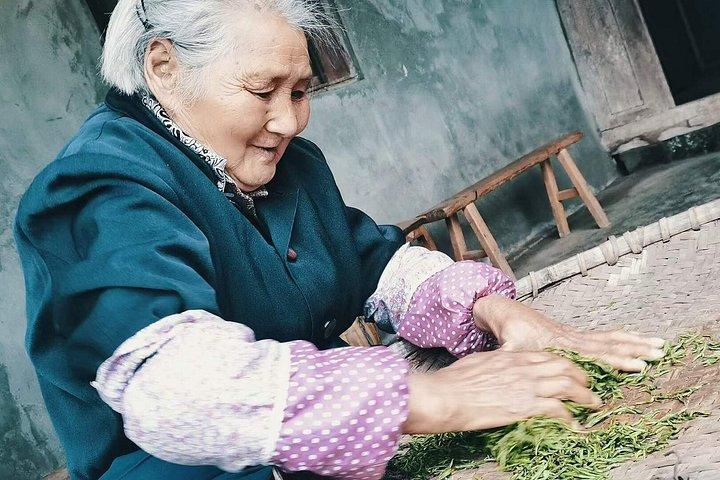 成都発巨大仏＆隠れ家茶村日帰り旅行