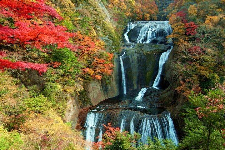 Autumn Hitachi Seaside and Fukuroda Falls Day Tour from Tokyo