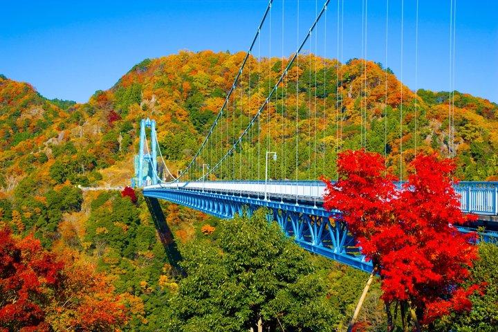 Autumn Hitachi Seaside and Fukuroda Falls Day Tour from Tokyo