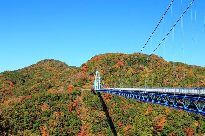 Autumn Hitachi Seaside and Fukuroda Falls Day Tour from Tokyo