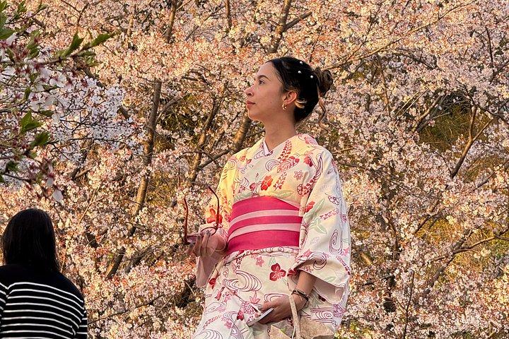 京都祇園 浅草寺近くの着物レンタル - 午後10時まで営業