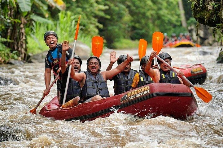 ウブド：ATV滝ゴリラ洞窟、ラフティング、ジップラインライステラス