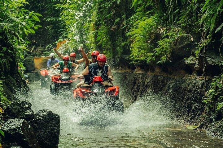 ウブド：ATV滝ゴリラ洞窟、ラフティング、ジップラインライステラス