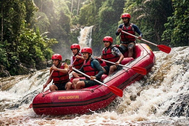ウブド：ATV滝ゴリラ洞窟、ラフティング、ジップラインライステラス