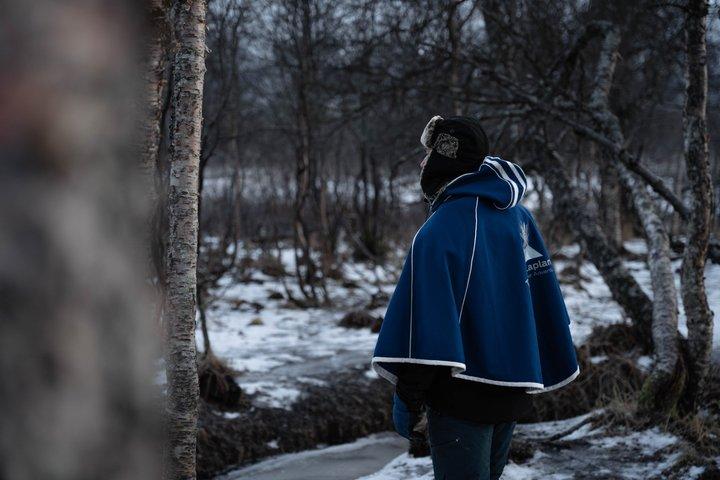 Alimentazione delle renne e cultura Sami con l'aurora boreale in autunno