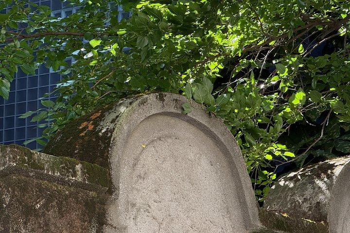 クラクフ : シンドラーの勇気の物語 - 市内観光