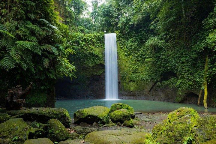 Personalizza il tour di un giorno privato di Bali con autista locale