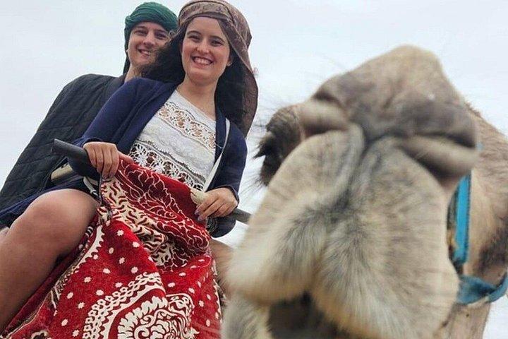 Agadir Camel and Horse Ride Adventure