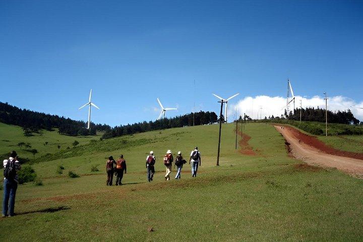 Museo Karen Blixen e tour della collina di Ngong con biglietti d'ingresso