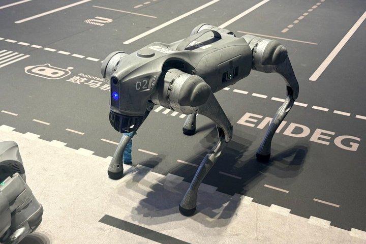 上海：ロボットのハイテクと自動運転車半日ツアー