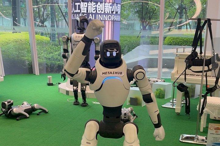 上海：ロボットのハイテクと自動運転車半日ツアー