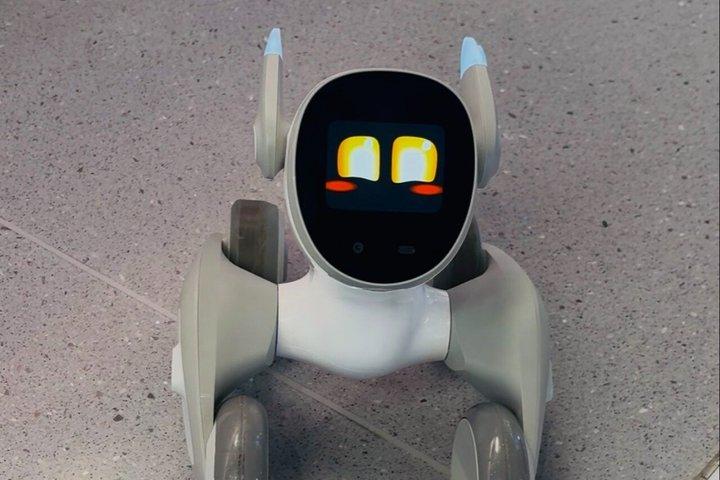 Shanghai : Visite d'une demi-journée High Tech des robots et des voitures sans chauffeur