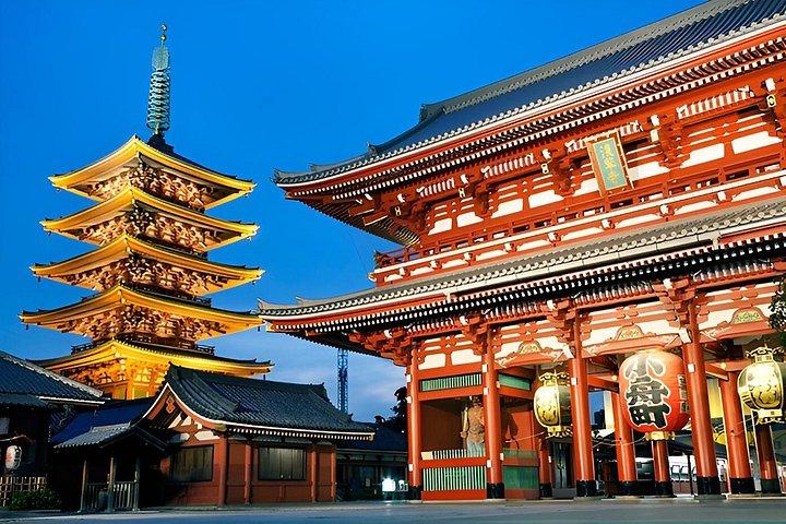 東京プライベート終日観光ツアー 寺院、タワーなど