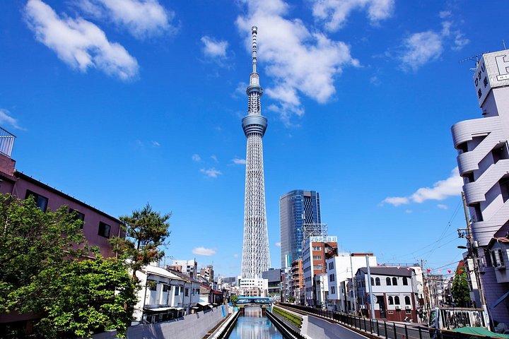 東京プライベート終日観光ツアー 寺院、タワーなど