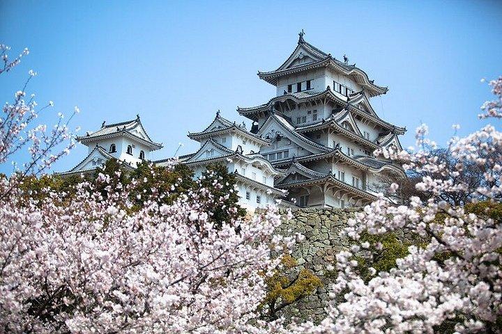 東京プライベート終日観光ツアー 寺院、タワーなど