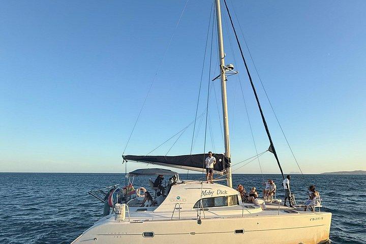 Delfinobservation i Estepona