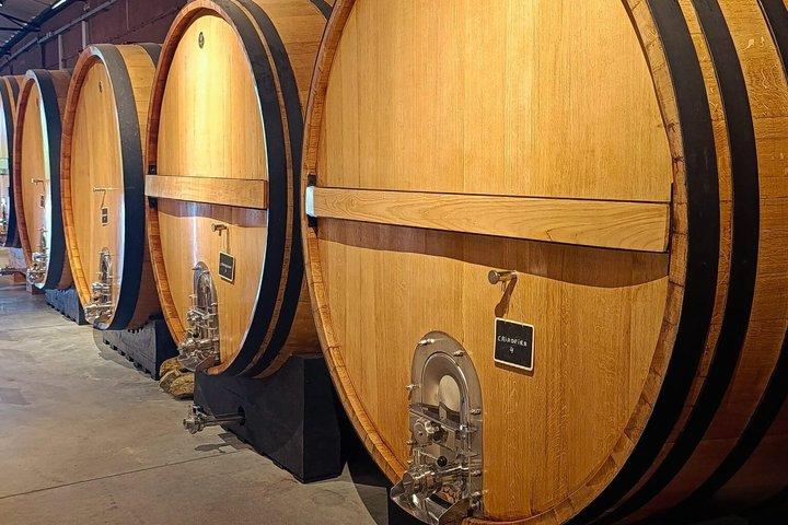 Bairrada Experience Journée complète avec un sommelier local