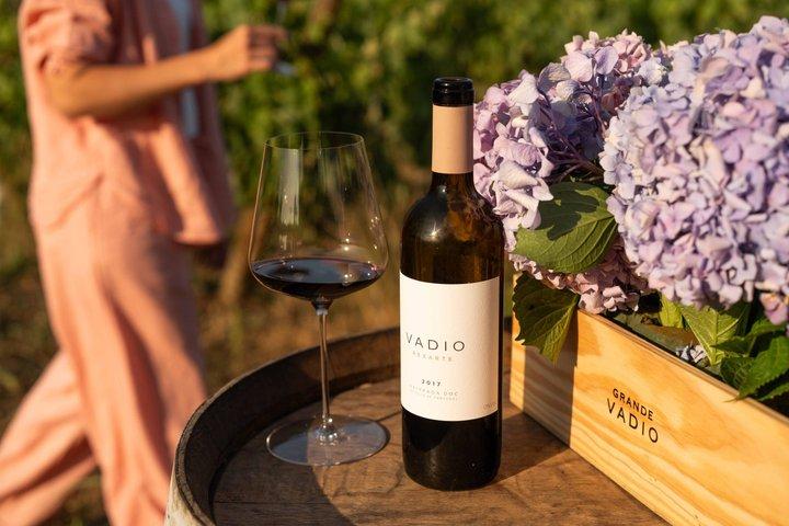 Bairrada Experience Journée complète avec un sommelier local