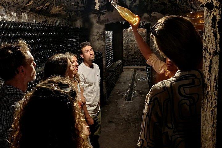 Bairrada Experience Journée complète avec un sommelier local