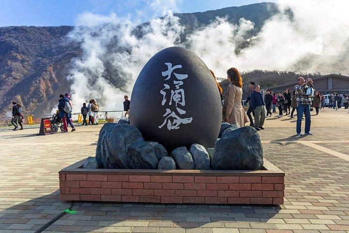 東京から富士山と箱根を巡るプライベート日帰りツアー(10時間)