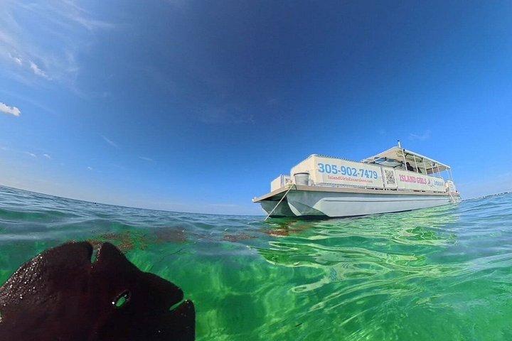 フロリダキーズカタマランの夏の朝泳ぎ