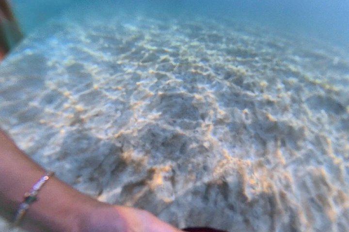 フロリダキーズカタマランの夏の朝泳ぎ