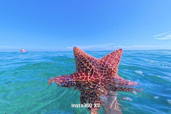 フロリダキーズカタマランの夏の朝泳ぎ