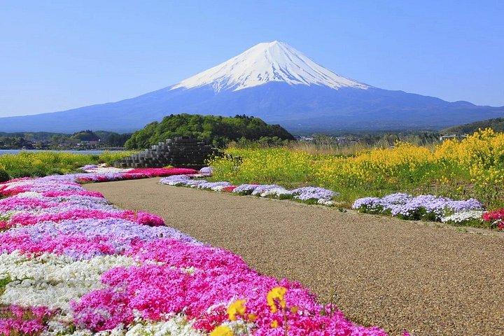 富士山フォトスポットツアー:新倉山・忍野・河口湖