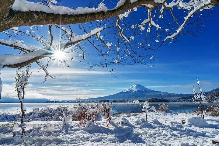 富士山フォトスポットツアー：新倉山・忍野・河口湖