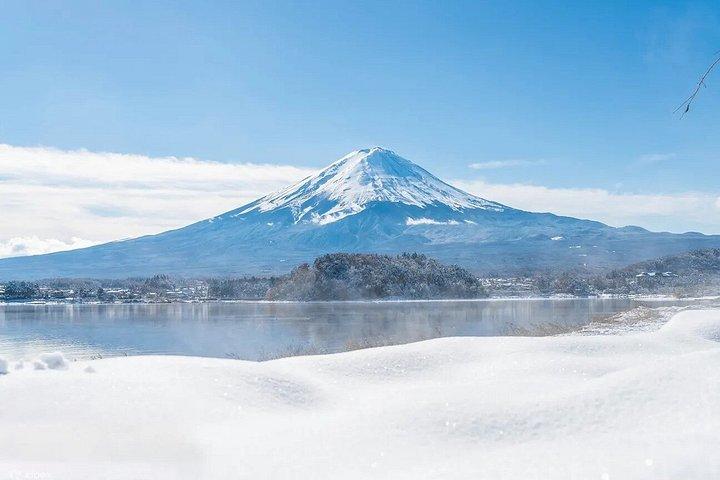 富士山フォトスポットツアー：新倉山・忍野・河口湖