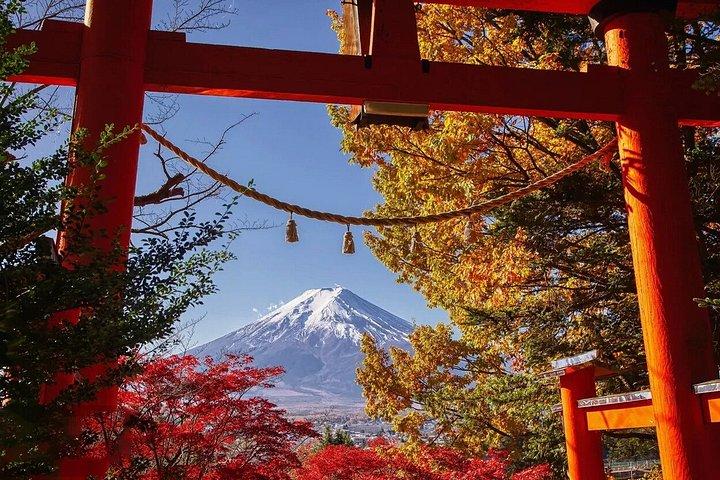 富士山フォトスポットツアー：新倉山・忍野・河口湖