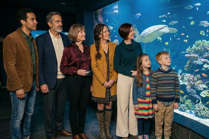 ドゥブロブニクユネスコ遺産のプライベート家族ウォーキングツアー