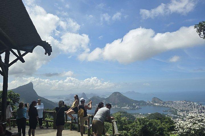 Rio : Tijuca Rainforest Private Summit ハイキング＆滝