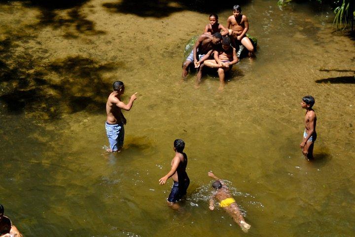Rio : Tijuca Rainforest Private Summit ハイキング＆滝