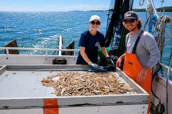 Hilton Head Shrimp Trawling Boat Cruise