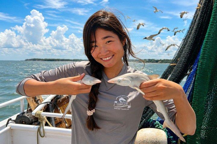 Hilton Head Shrimp Trawling Bootsfahrt