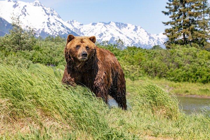 Ankerplaats bij Seward Wildlife Adventure