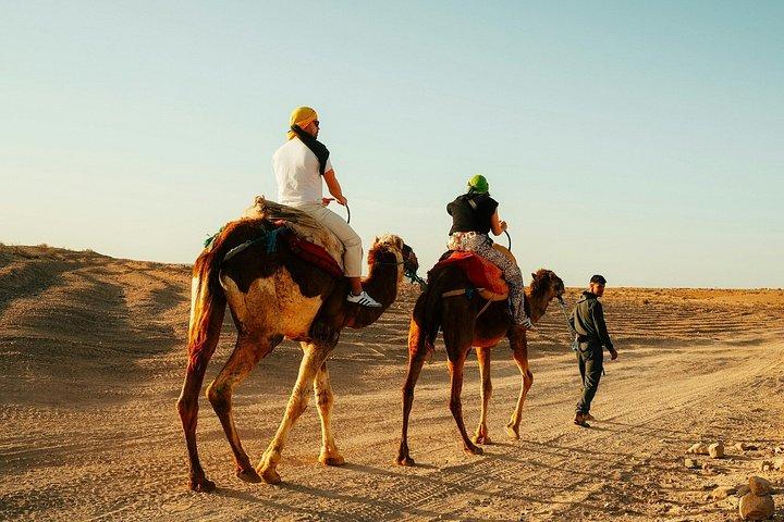 Marrakech Sunset Camel Ride Dinner Experience
