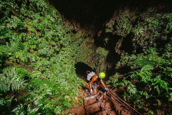 6 Day Galápagos Tour from Santa Cruz to Pinzón Island