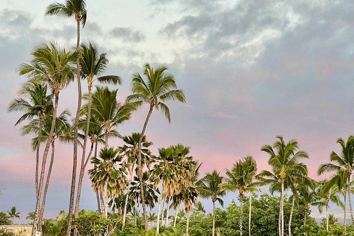 Hilo Shore Excursion: Volcanic Experience, Lava Tubes, Waterfalls