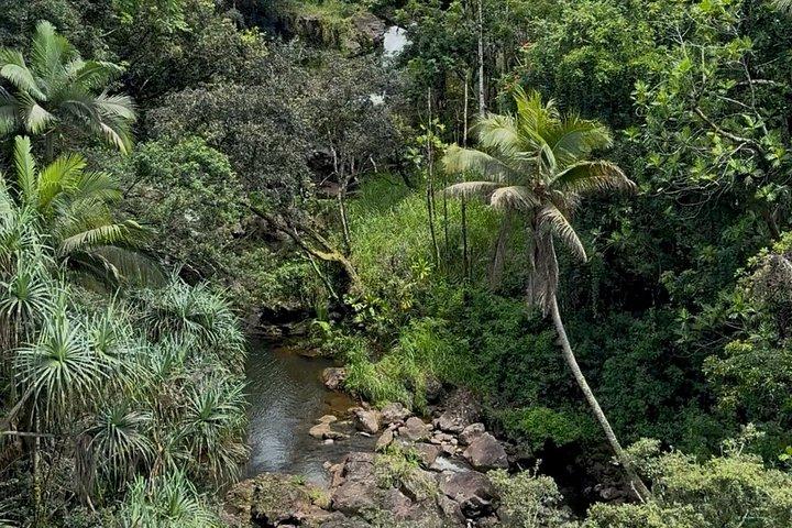 Hilo Shore Excursion: Volcanic Experience, Lava Tubes, Waterfalls