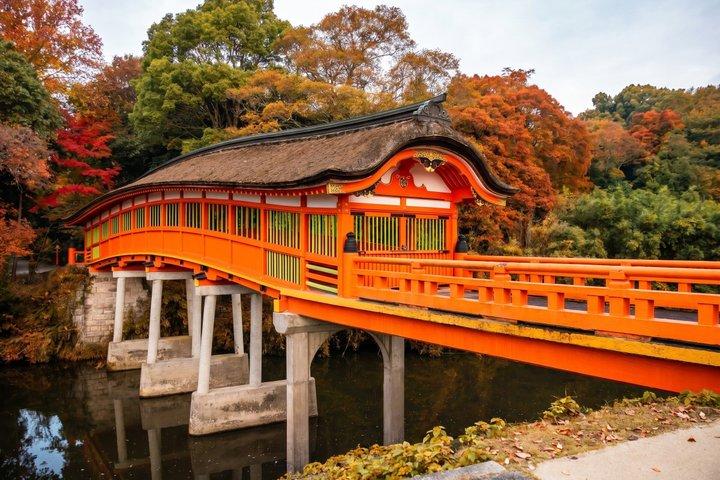 福岡九州秋の風物詩4選日帰りツアー