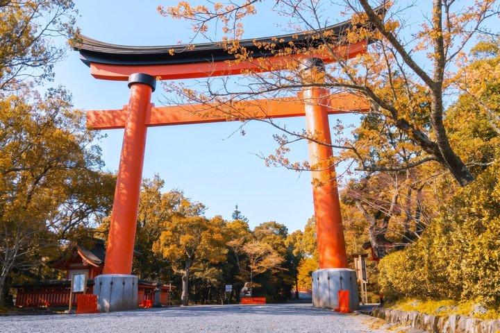 福岡九州秋の風物詩4選日帰りツアー