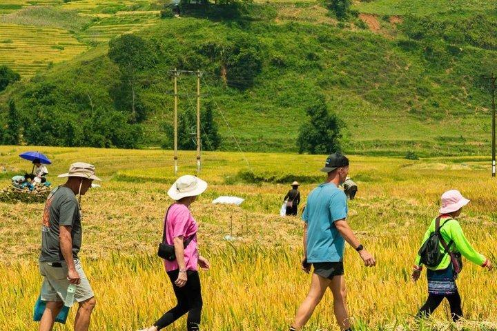 Hanoi to Sapa Slow Trek with Village Culture and Hotel Stay