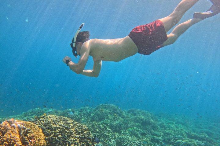 Avventura di snorkeling condiviso a Menjangan Island Bali