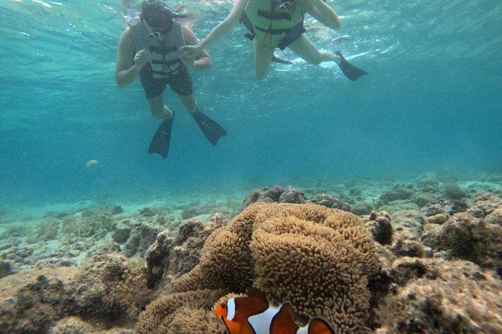 Avventura di snorkeling condiviso a Menjangan Island Bali