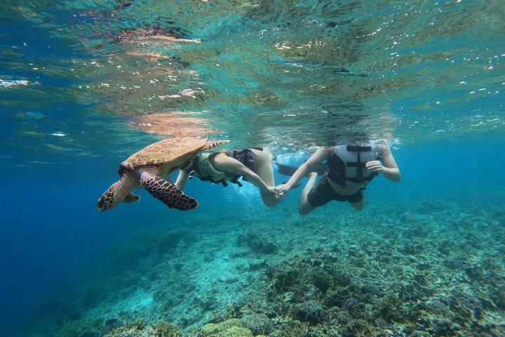 Avventura di snorkeling condiviso a Menjangan Island Bali