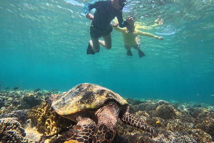 共有シュノーケリングで行くメンジャンガン島バリ島アドベンチャー